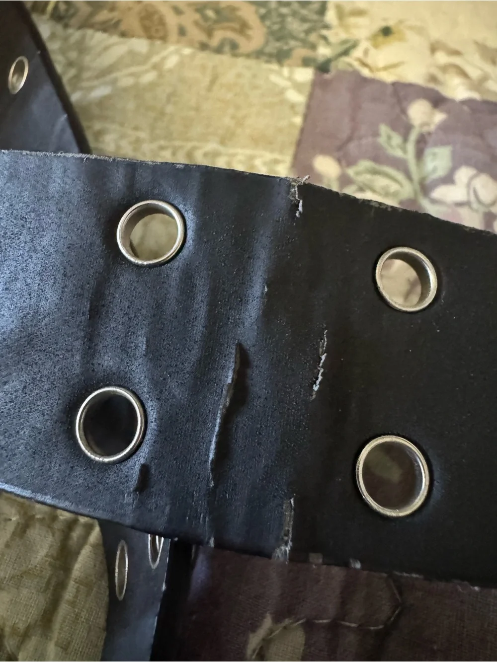 double eyelet belt